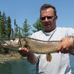 Profile Picture of Bill Mazurek (@bill.mazurek.35) on Instagram