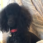 Profile Picture of Maddie Hayes (@maddie.hayes.362932) on Facebook