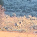 Profile Picture of Cody McMullin (@cody.mcmullin.2025) on Facebook