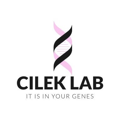 Profile Picture of Dr. Mehmet Zeynel Cilek (@mzcilek) on Twitter