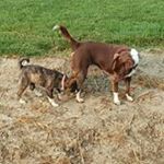 Barbara Gaskins Martin - Instagram Profile Picture of Barbara Gaskins Martin (@gaskinsmartin) on Instagram