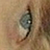 Profile Picture of robin daniel (@robin daniel) on Flickr