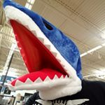 Profile Picture of Isaac Sitton (@isaacsitton) on Instagram