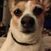 Profile Picture of Sandra Duncan (@sandra.duncan.9404) on Facebook