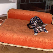 Profile Picture of Jacob Patino (@jacobpatino4298) on Youtube