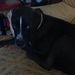 Profile Picture of Luke Dolan (@dolan0135) on Pinterest