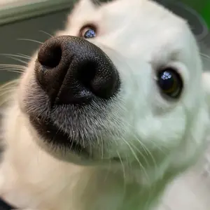 Profile Picture of Cocco (@sabrinafiume91) on Tiktok