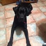 Profile Picture of Steve Kammerer (@kammerer.steve) on Instagram