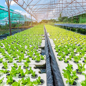 Profile Picture of Thomas Cohart (@thomascohart5957) on Youtube