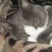 Profile Picture of Cathy McClintock (@colorado1949) on Pinterest