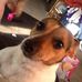 Profile Picture of Theresa Olszewski (@theresa.olszewski.12) on Facebook