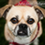 Profile Picture of Julia Alexander (@julia carol photography) on Flickr