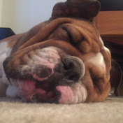 Profile Picture of Tim Daniel (@earstimmy) on Youtube