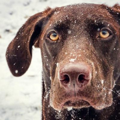 Profile Picture of Eli Boyd (@Eliboyd11Eli) on Twitter