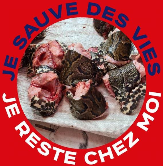 Profile Picture of Fils Njock (@filsnjock) on Poshmark