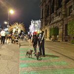 Arac Alba - Instagram Profile Picture of Arac Alba (@alma.albarran) on Instagram