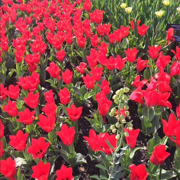 Profile Picture of Kim Causey (@kscausey45) on Poshmark