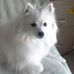 Profile Picture of Harold Cronk (@harold.cronk) on Facebook