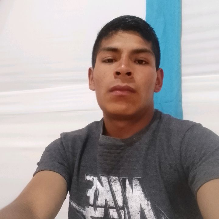 user4620187229016 - Tiktok Profile Picture of user4620187229016 (@dinofernandez7) on Tiktok