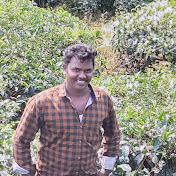 Profile Picture of Pothiraj Pothiraj (@pothirajpothiraj6016) on Youtube