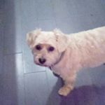 Profile Picture of Reagan Barry (@barry.reagan) on Instagram