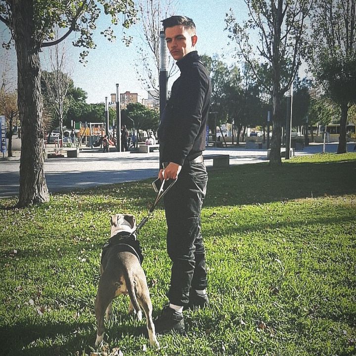 Profile Picture of BrianBlueterrier (@elsantospapy) on Tiktok