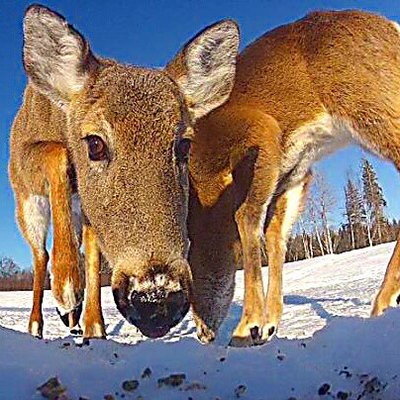 Profile Picture of Tozerb@rogers.com (@briantozer4) on Twitter