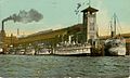 Profile Picture of Puget Sound mosquito fleeton Wikipedia