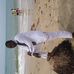Profile Picture of Matthew Terkutey (@matthew.terkutey.7) on Facebook