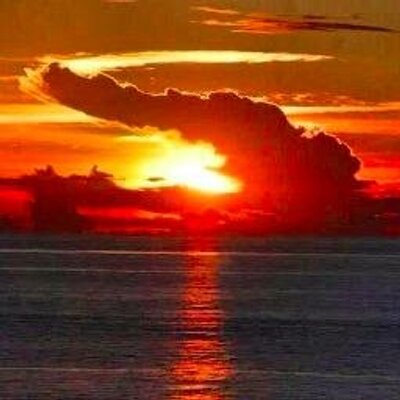 Profile Picture of Melanie Willette (@EdugatorMNW) on Twitter