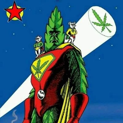 Profile Picture of Edgar Benjamin Cervantes Ocampo (@EdgarBe29816639) on Twitter