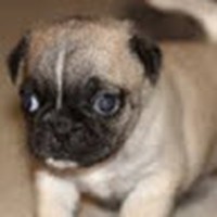 Profile Picture of Xavier Neal (@xavier-neal-9) on Quora
