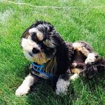 Profile Picture of Lori Drady Spaulding (@lori.spaulding11) on Instagram