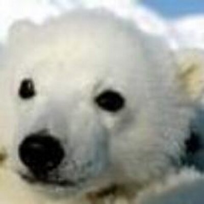 Profile Picture of Charles Leung (@lwkcharles) on Twitter