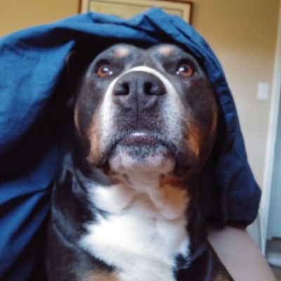 Profile Picture of Cori Walter (@CoriWalter12) on Twitter