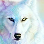 Profile Picture of Donna Davey (@unicornlover7958) on Instagram