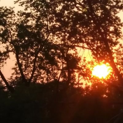 Profile Picture of Isaac Cody Shaw (@IsaacCodyShaw1) on Twitter