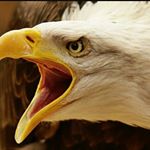 Profile Picture of Maximo Espinal (@maximo.espinal.3576) on Instagram