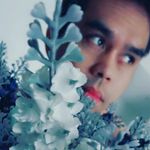 Profile Picture of Clarence Lim (@baim_rid) on Instagram