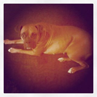 Profile Picture of Callie Mize (@callie.mize.9) on Facebook