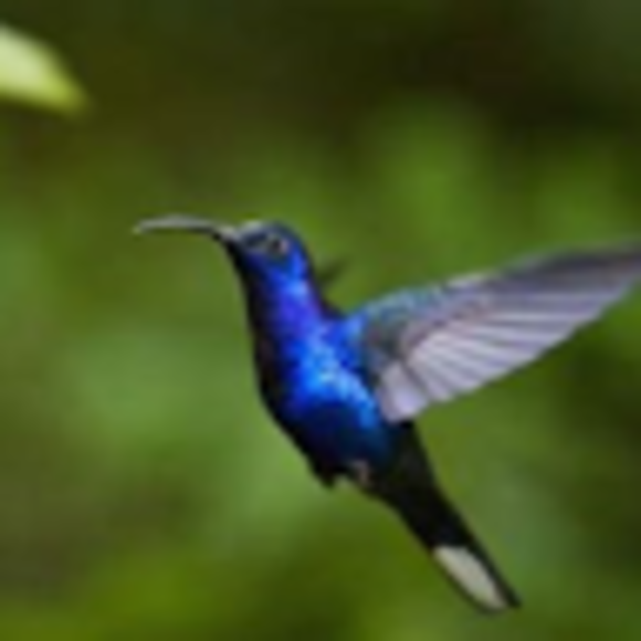 Profile Picture of Jesse Heirendt (@jesseheirendt) on Poshmark