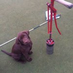 Profile Picture of Kevin Peck (@kpeckturf) on Instagram