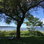 Profile Picture of Peter Cheong (@p3000cheong) on Flickr