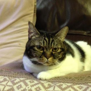 Profile Picture of Tony Szeto (@tony.szeto.14) on Facebook