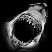 Profile Picture of Robert Quint (@rJAWS1975) on Youtube