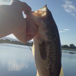 Profile Picture of Nick James & Nathan Weber (@front_range_fishers) on Instagram