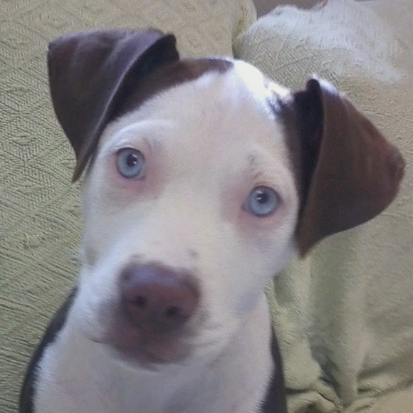 Profile Picture of Danny Keane (@dkeane0918) on Poshmark