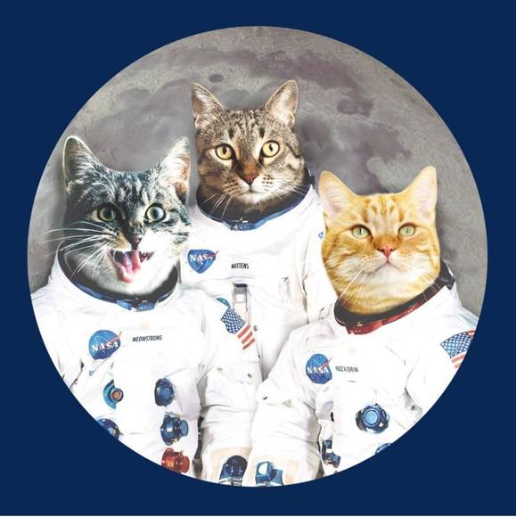 Profile Picture of Lynda Garside (@lynda_garside) on Poshmark