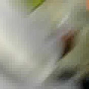 Profile Picture of Andrew Chase (@Flagz74) on Youtube