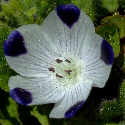 Profile Picture of Mark Brunell (@msbrunell) on Twitter